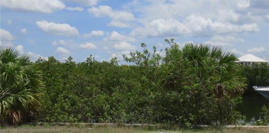 Terrain à Ruskin, Floride № 1312970