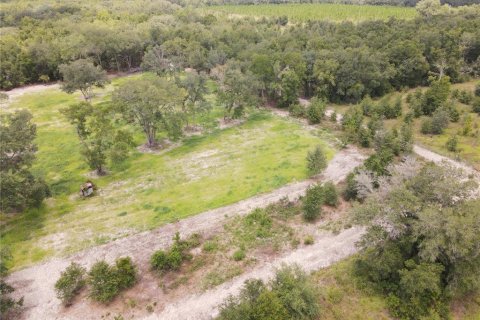 Land in Fort White, Florida № 1314838 - photo 18