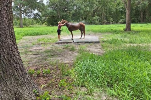 Terreno en venta en Fort White, Florida № 1314838 - foto 6