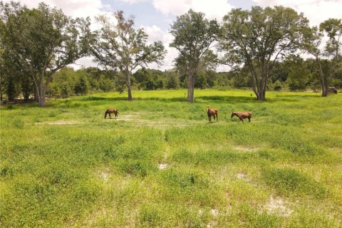 Terreno en venta en Fort White, Florida № 1314838 - foto 5