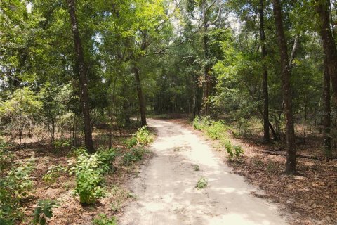 Land in Fort White, Florida № 1314838 - photo 20