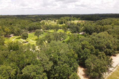 Land in Fort White, Florida № 1314838 - photo 7