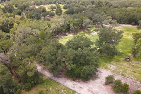 Land in Fort White, Florida № 1314838 - photo 28