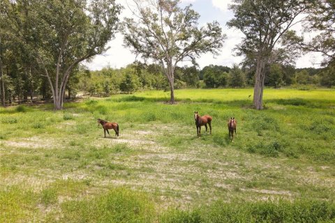 Terreno en venta en Fort White, Florida № 1314838 - foto 15