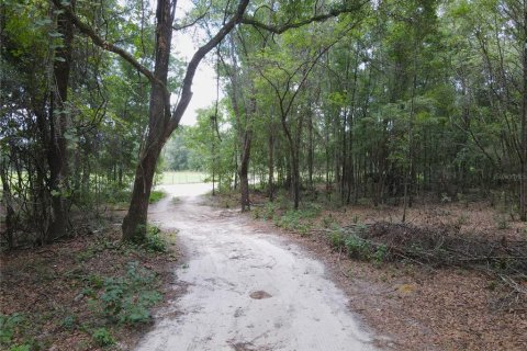 Land in Fort White, Florida № 1314838 - photo 30