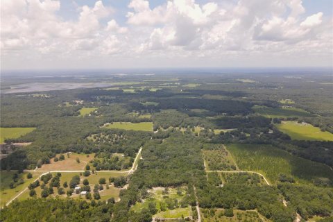 Land in Fort White, Florida № 1314838 - photo 16