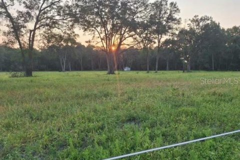 Land in Fort White, Florida № 1314838 - photo 1