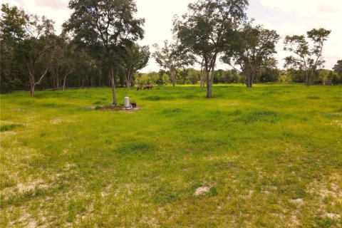 Land in Fort White, Florida № 1314838 - photo 12