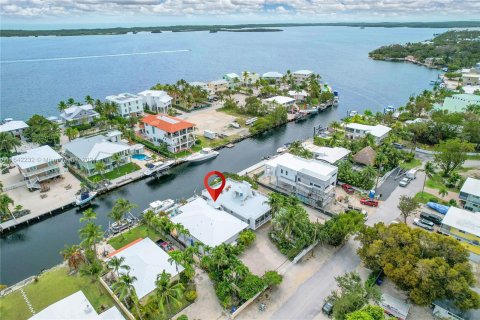 Villa ou maison à vendre à Key Largo, Floride: 4 chambres, 309.74 m2 № 1321040 - photo 3