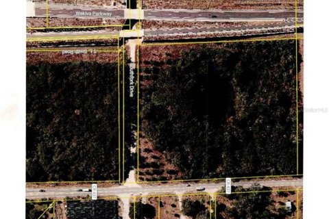 Land in Apopka, Florida № 1333741 - photo 2