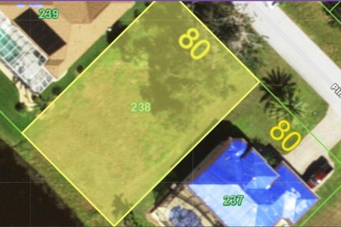 Land in Rotonda, Florida № 870015 - photo 1