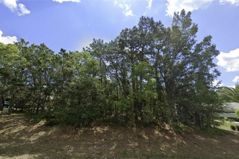 Terreno en venta en Inverness, Florida № 1314018 - foto 2