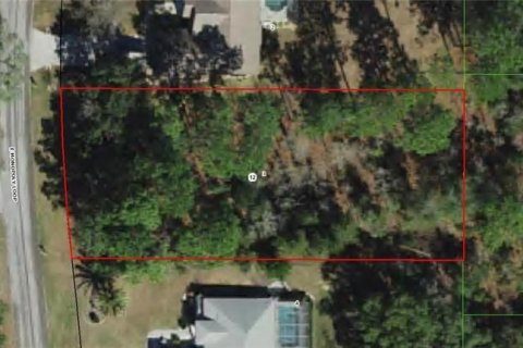 Terreno en venta en Inverness, Florida № 1314018 - foto 6