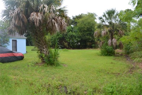 Terrain à vendre à Sanford, Floride № 1306666 - photo 4