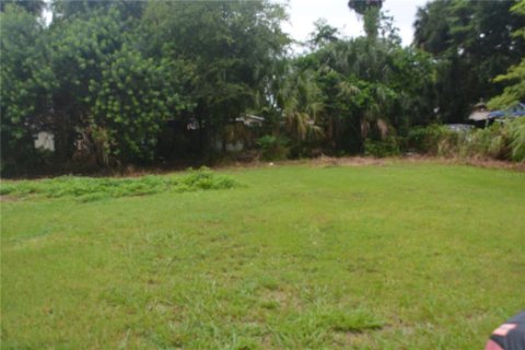 Land in Sanford, Florida № 1306666 - photo 1