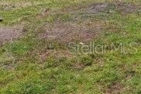 Land in Dade City, Florida № 1289374 - photo 2