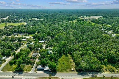 Terreno en venta en Perry, Florida № 1283414 - foto 7