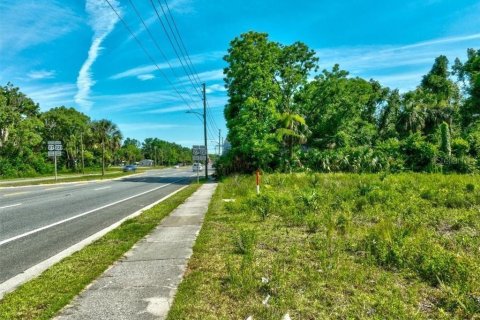 Land in Perry, Florida № 1283414 - photo 6