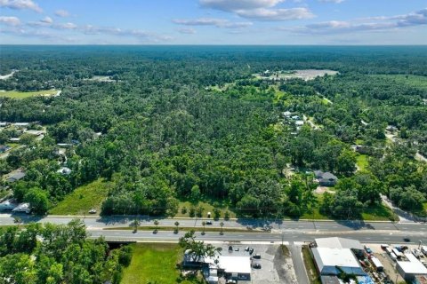 Land in Perry, Florida № 1283414 - photo 10