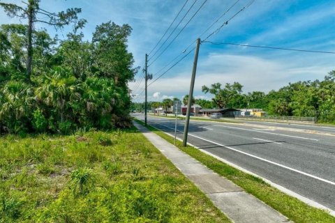 Terreno en venta en Perry, Florida № 1283414 - foto 8