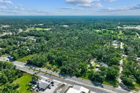 Terreno en venta en Perry, Florida № 1283414 - foto 9