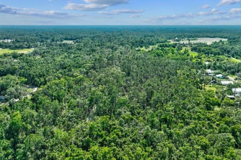 Land in Perry, Florida № 1283414 - photo 12