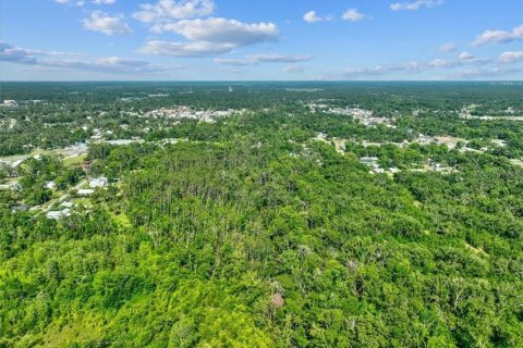 Land in Perry, Florida № 1283414 - photo 13