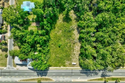 Terreno en venta en Perry, Florida № 1283414 - foto 14