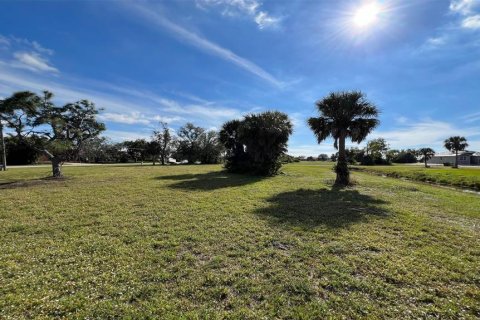 Купить земельный участок в Пунта-Горда, Флорида № 935012 - фото 13
