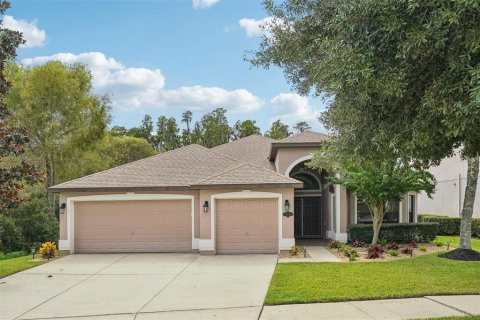 House in Tampa, Florida 4 bedrooms, 293.01 sq.m. № 1361442 - photo 1