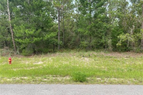 Terreno en venta en Ocala, Florida № 1212315 - foto 1