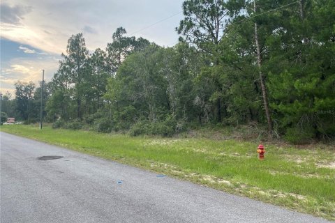 Terreno en venta en Ocala, Florida № 1212315 - foto 2