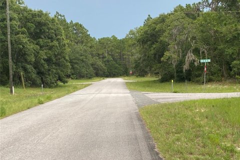 Terrain à vendre à Ocala, Floride № 1212315 - photo 3