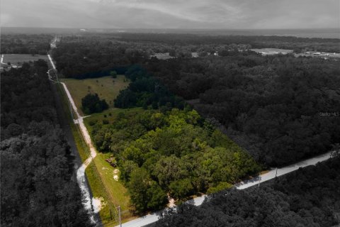 Terrain à vendre à Gainesville, Floride № 600168 - photo 8