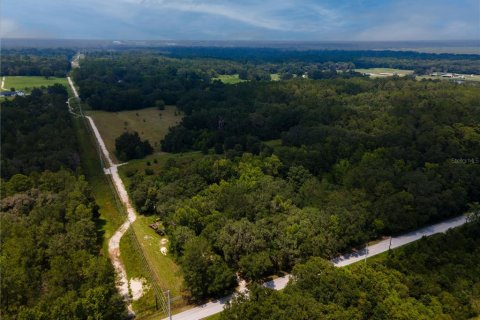 Купить земельный участок в Гейнсвилл, Флорида № 600168 - фото 7