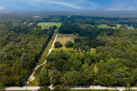 Купить земельный участок в Гейнсвилл, Флорида № 600168 - фото 12