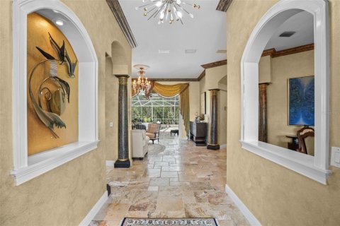 Villa ou maison à vendre à Lutz, Floride: 4 chambres, 382.94 m2 № 1086816 - photo 11