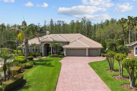 Casa en venta en Lutz, Florida, 4 dormitorios, 382.94 m2 № 1086816 - foto 1