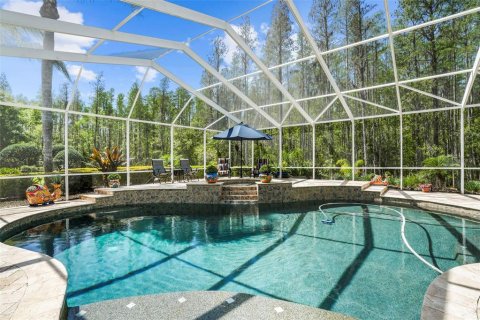 Villa ou maison à vendre à Lutz, Floride: 4 chambres, 382.94 m2 № 1086816 - photo 5