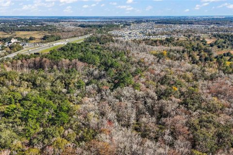 Land in Wildwood, Florida № 1359094 - photo 11