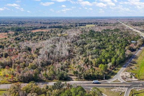 Land in Wildwood, Florida № 1359094 - photo 5