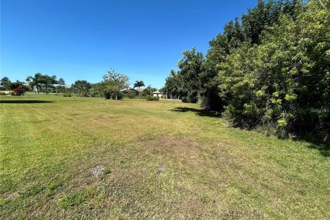 Terreno en venta en Punta Gorda, Florida № 1335459 - foto 2