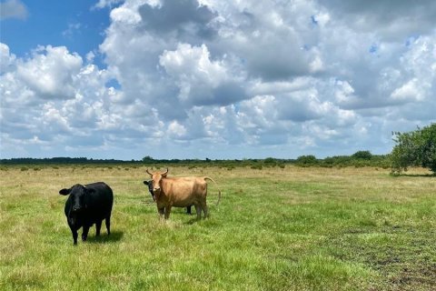 Land in Okeechobee, Florida № 1178601 - photo 3