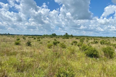 Land in Okeechobee, Florida № 1178601 - photo 2