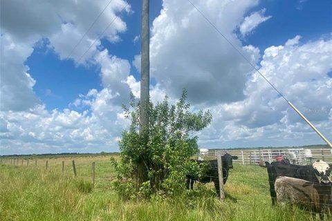 Land in Okeechobee, Florida № 1178601 - photo 1