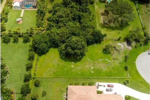 Купить земельный участок в Плантация, Флорида № 285812 - фото 1