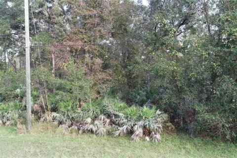 Terreno en venta en Orlando, Florida № 1289517 - foto 14