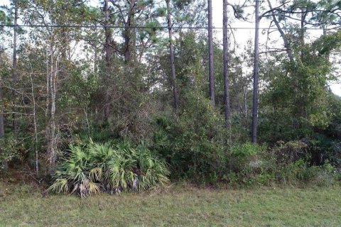 Terreno en venta en Orlando, Florida № 1289517 - foto 10