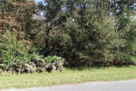 Terrain à vendre à Orlando, Floride № 1289517 - photo 6