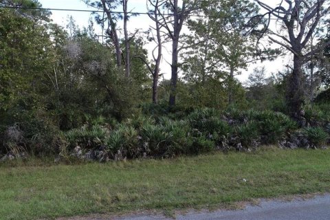 Terreno en venta en Orlando, Florida № 1289517 - foto 11